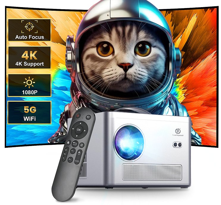 Projector F30